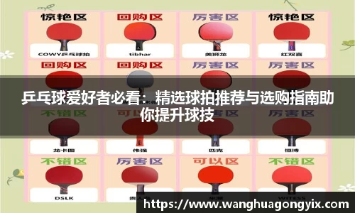 乒乓球爱好者必看：精选球拍推荐与选购指南助你提升球技