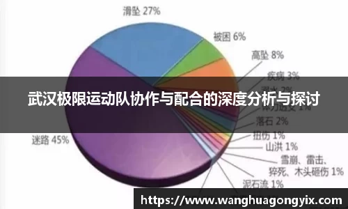武汉极限运动队协作与配合的深度分析与探讨