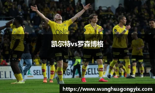 凯尔特vs罗森博格