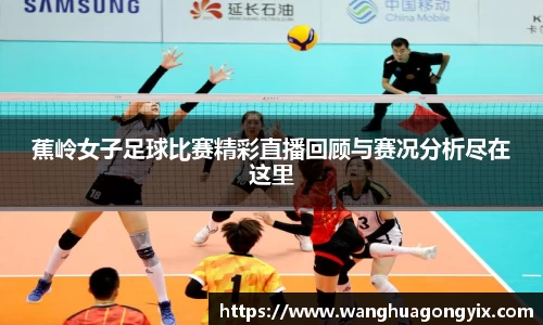 qy球友会体育