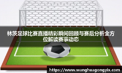 林茨足球比赛直播精彩瞬间回顾与赛后分析全方位解读赛事动态